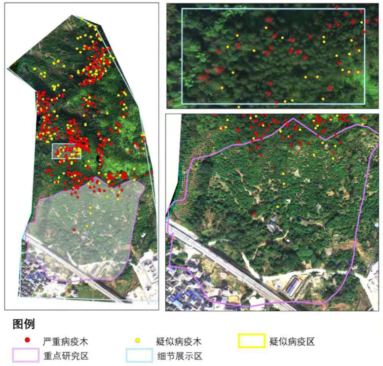 undefined ¿Ê±×ðÁúÈËÉú¾ÍÊDz©¡¤Z6(Öйú)Ê×Ò³¹ÙÍø