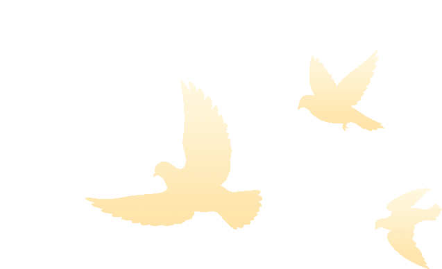 ��ʱ�����������ǲ���Z6(�й�)��ҳ����